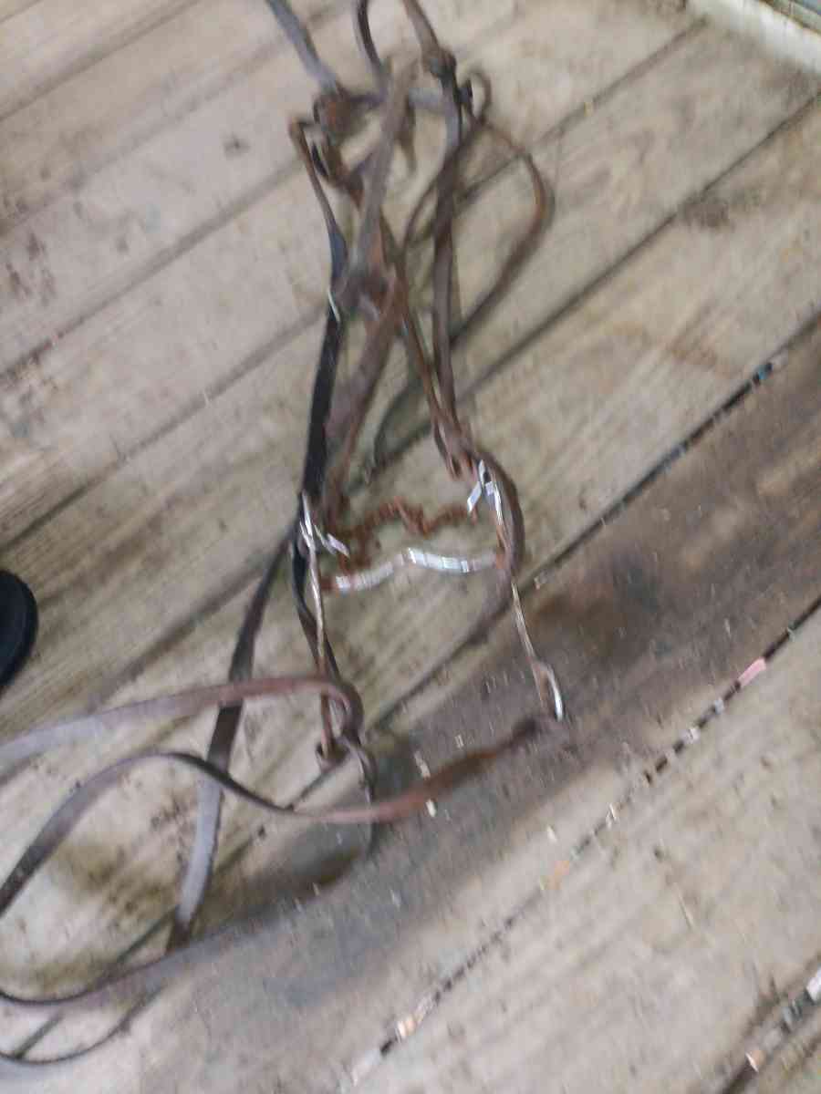 bridle with bit n reins