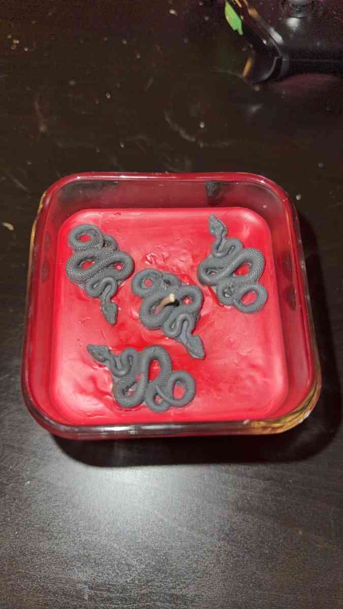 snake themed candle