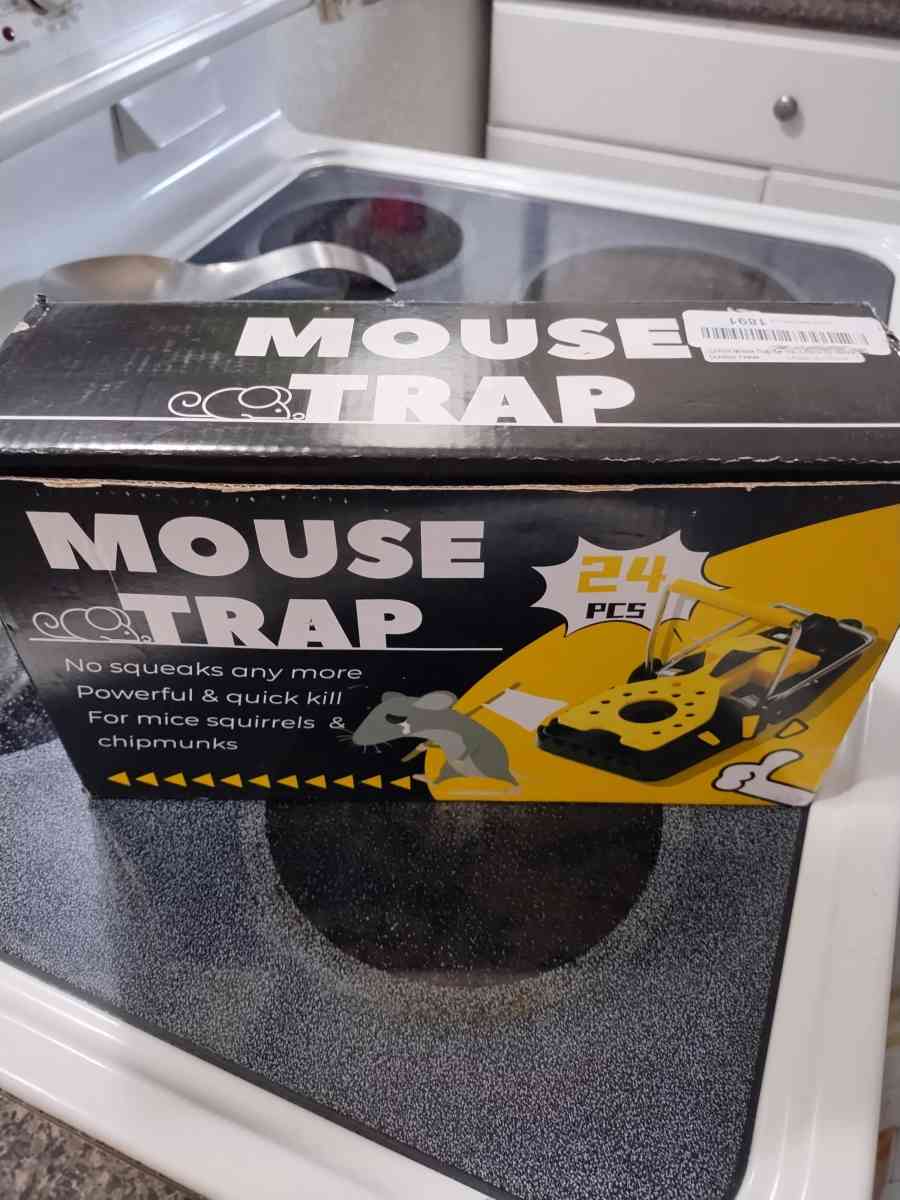 24 pk mouse traps