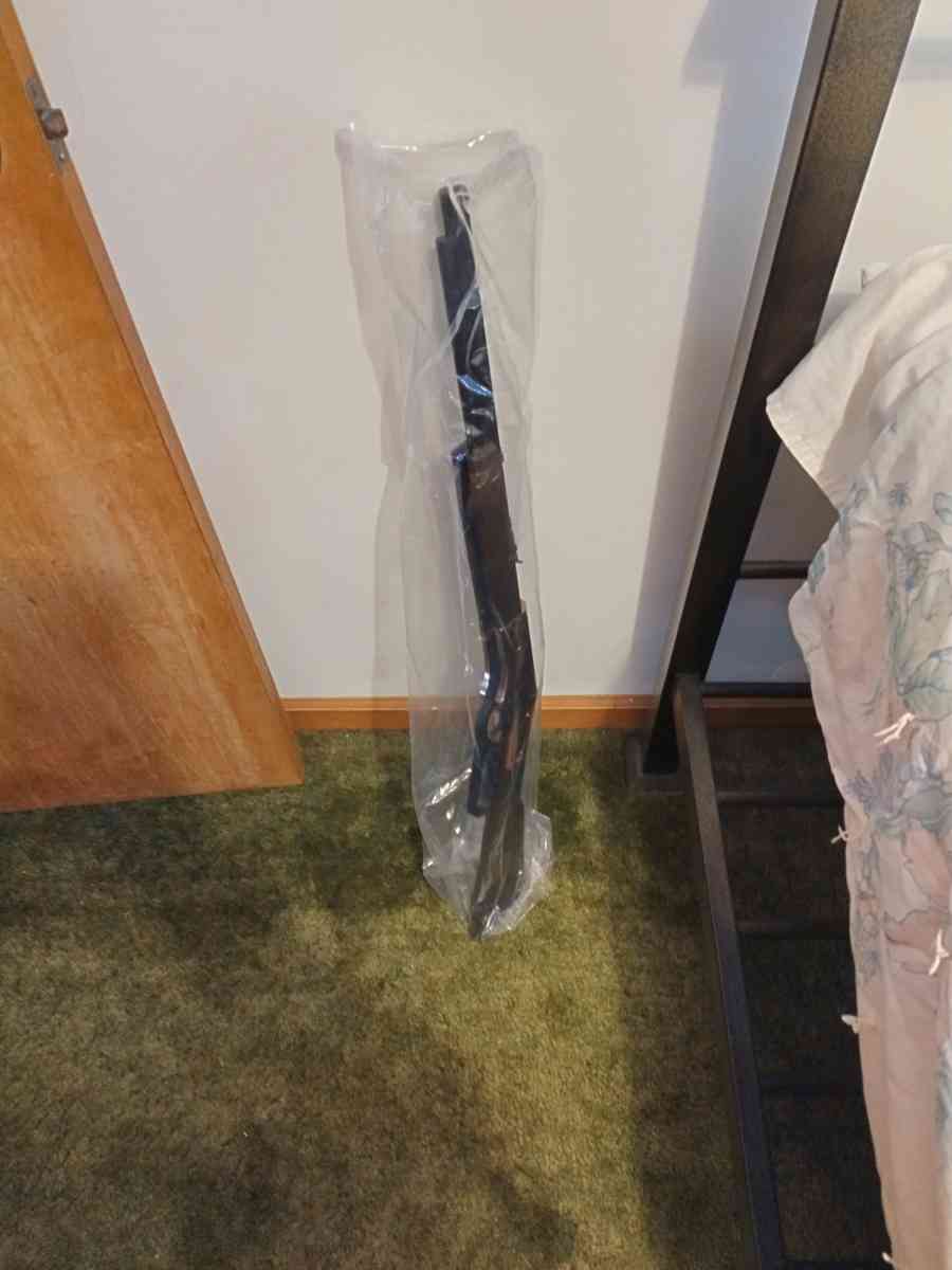 BB gun - Alicia, Arkansas - FleaMarketBay