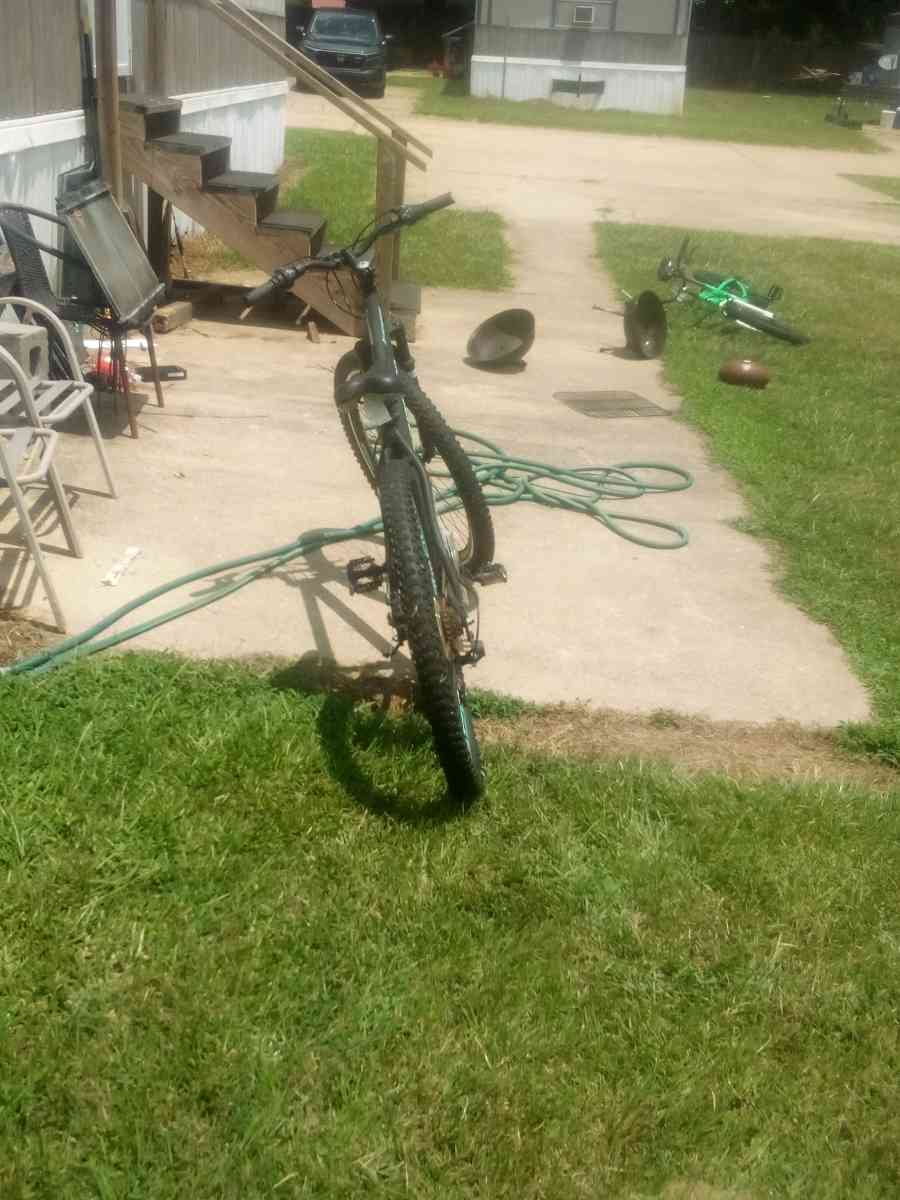 Florence story Circle