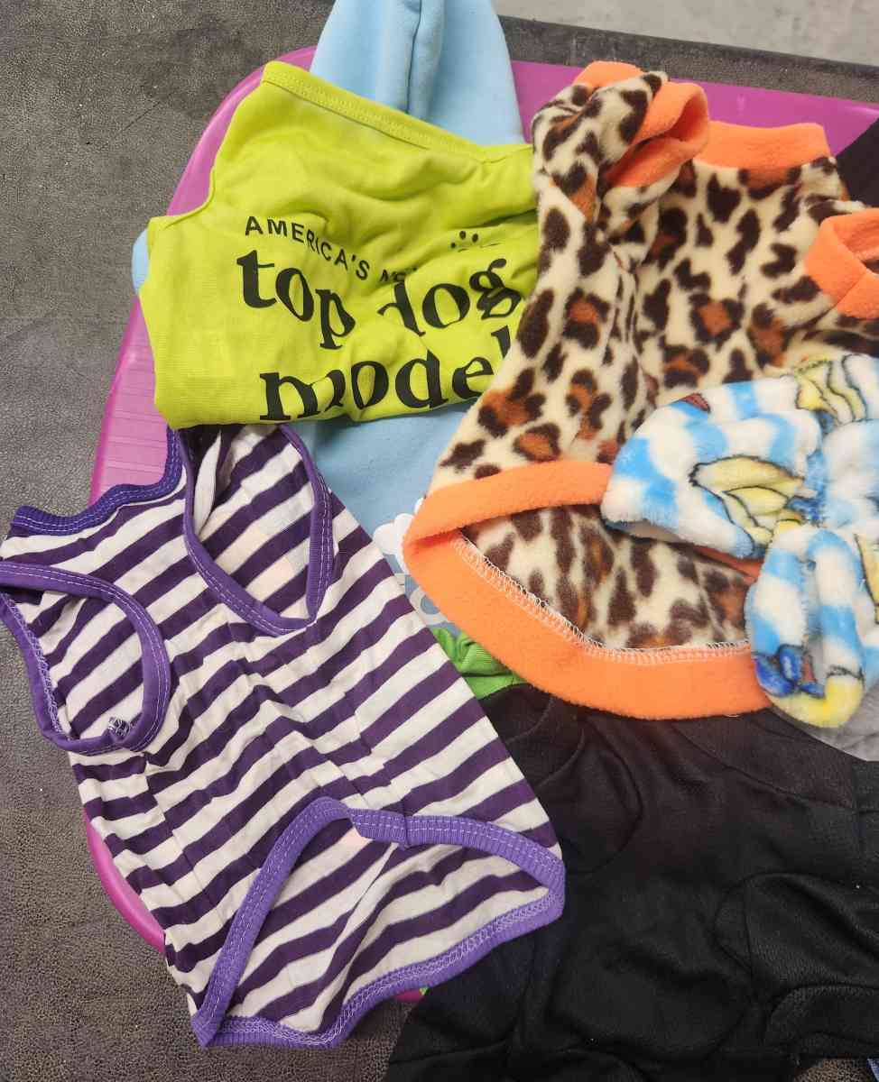 Pet Dog Lot of 11 Outfits Lightly Worn New SZs S to M