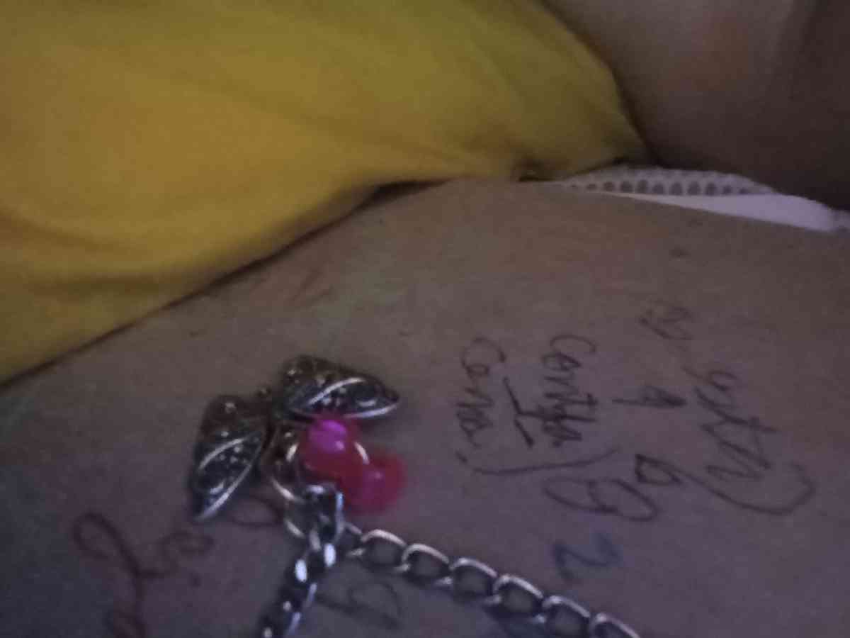 collar para cachora o pera