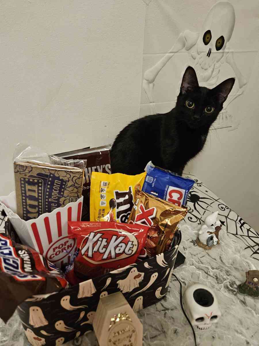 Halloween Miniature Candy Box - Southfield, Michigan - FleaMarketBay