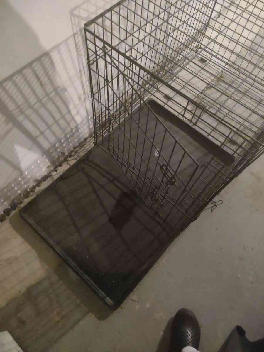 dog cage