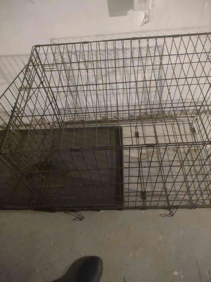 dog cage - Detroit, Michigan - FleaMarketBay