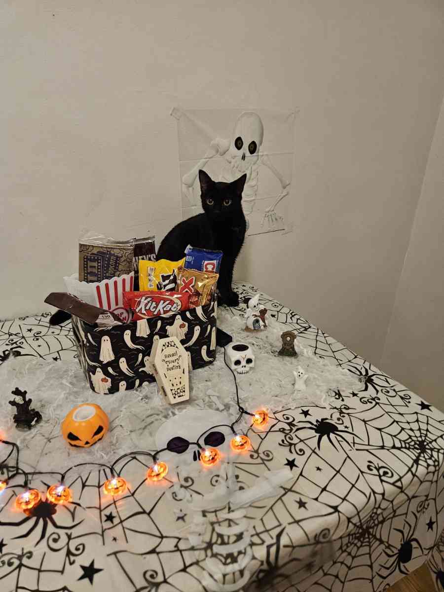Halloween Miniature Candy Box - Southfield, Michigan - FleaMarketBay
