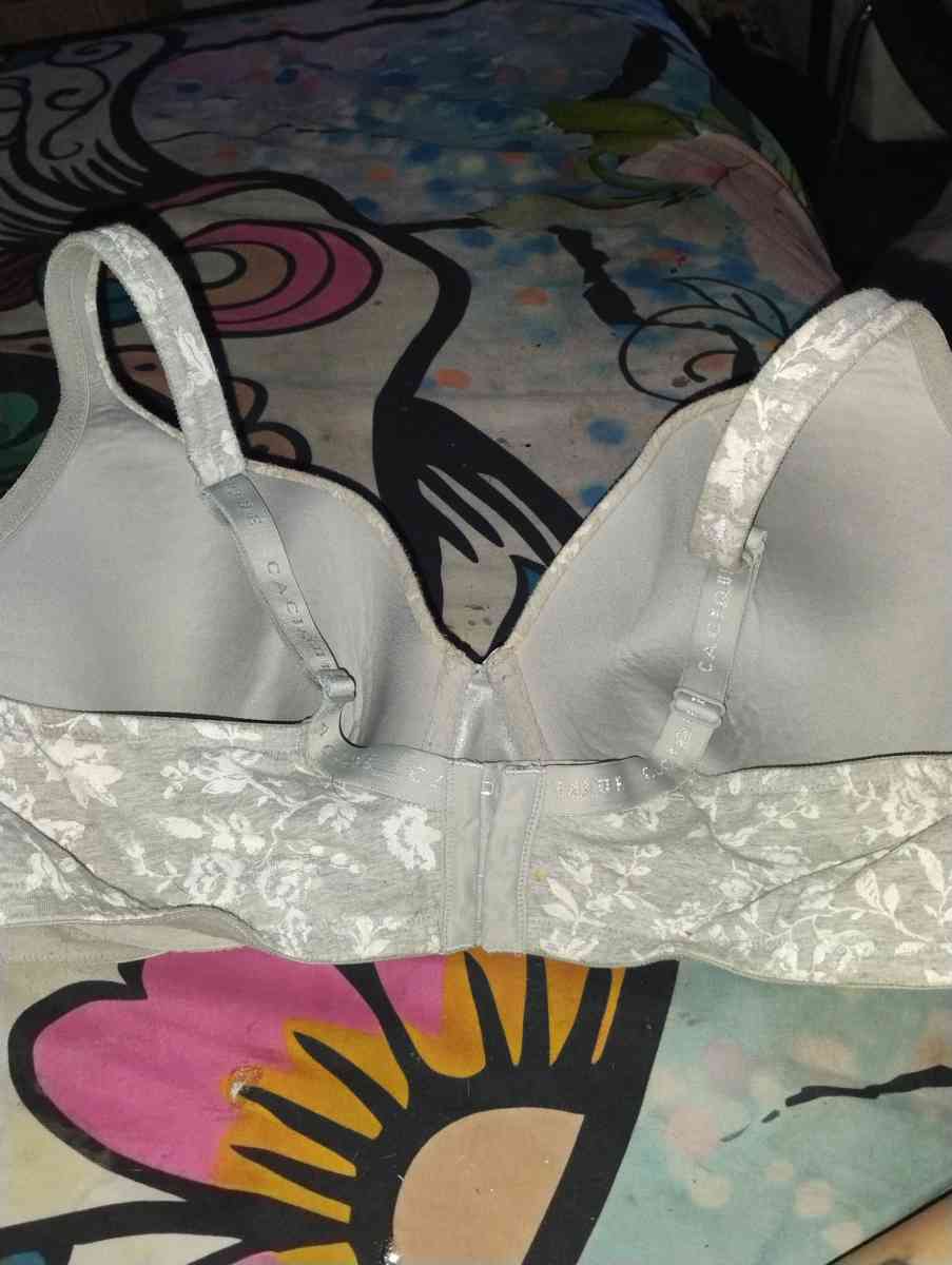 Lanebryant Torrid bras