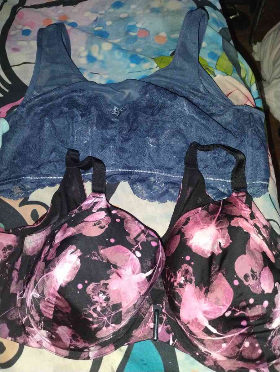 Lanebryant Torrid bras