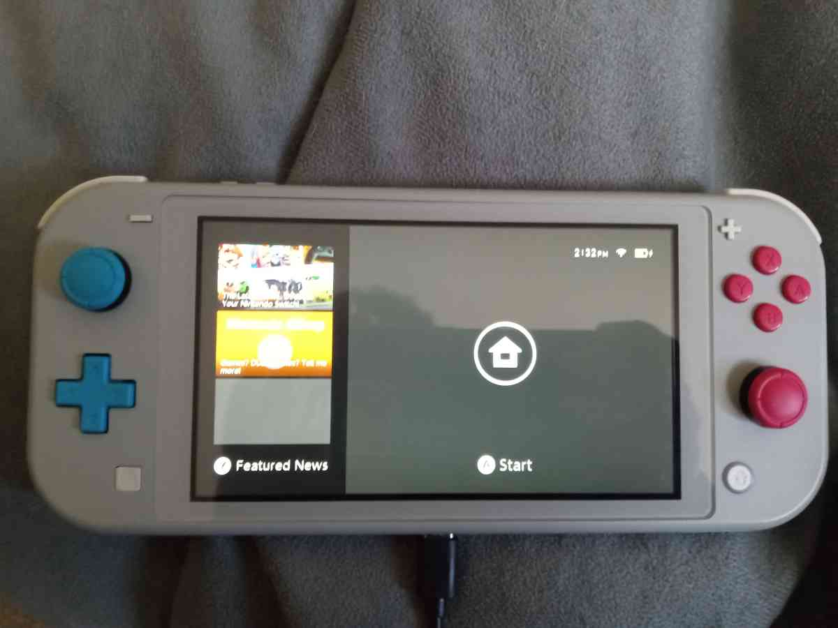 sword and shield Nintendo switch lite - Mentor, Ohio - FleaMarketBay