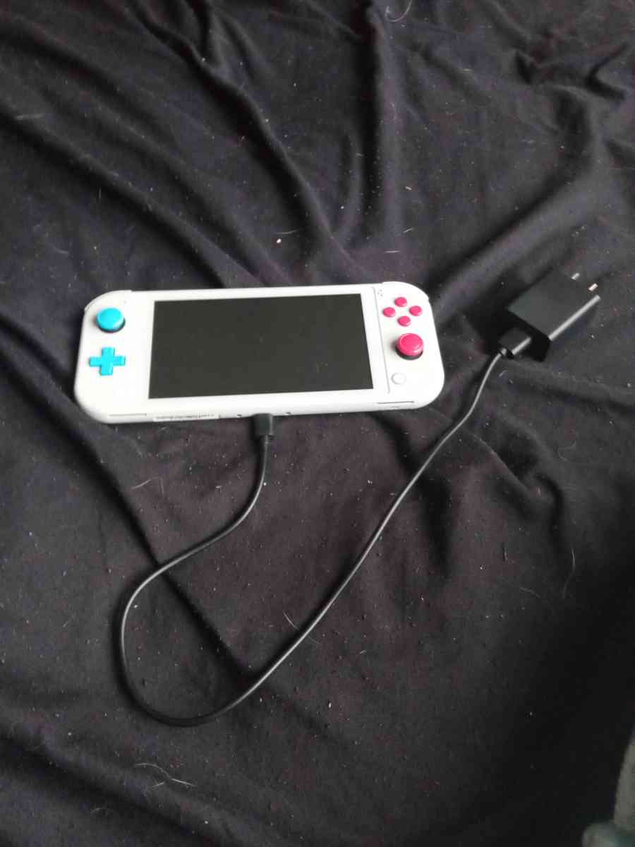 Nintendo switch lite - Mentor, Ohio - FleaMarketBay