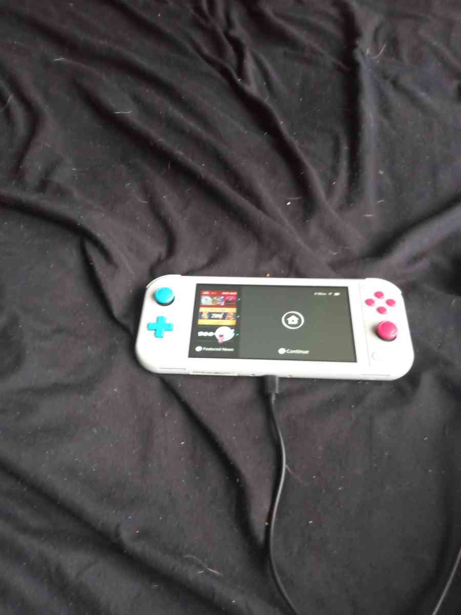 Nintendo switch lite - Mentor, Ohio - FleaMarketBay