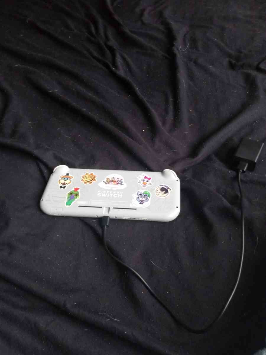 Nintendo switch lite - Mentor, Ohio - FleaMarketBay
