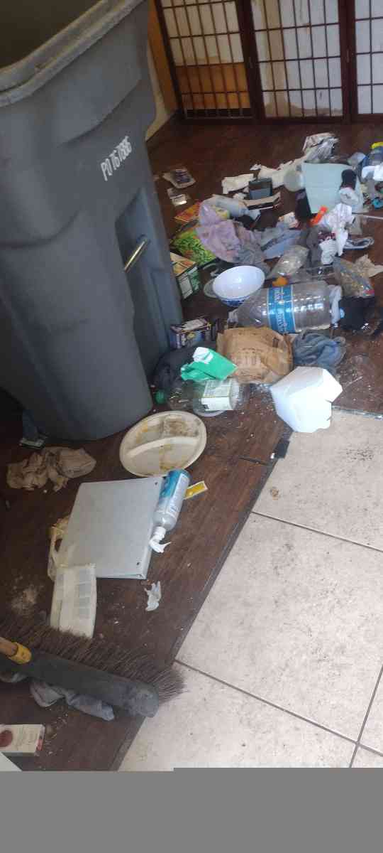 junk hauling and removal service