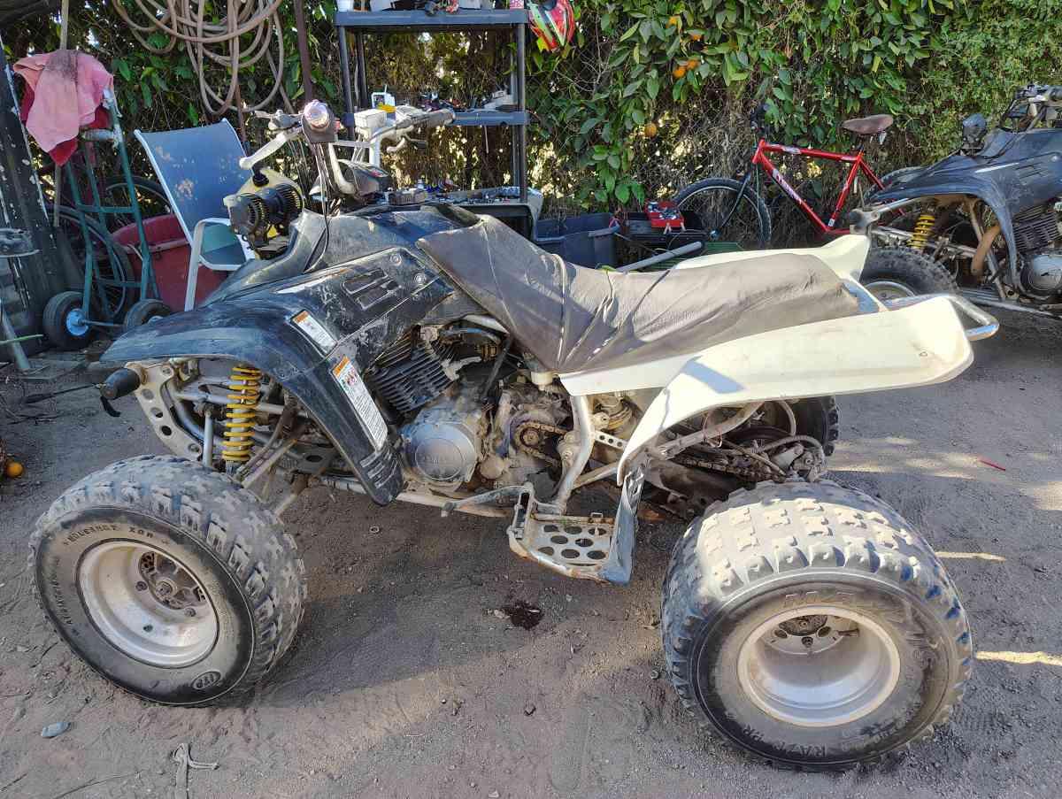 Yamaha 2002 350 engine