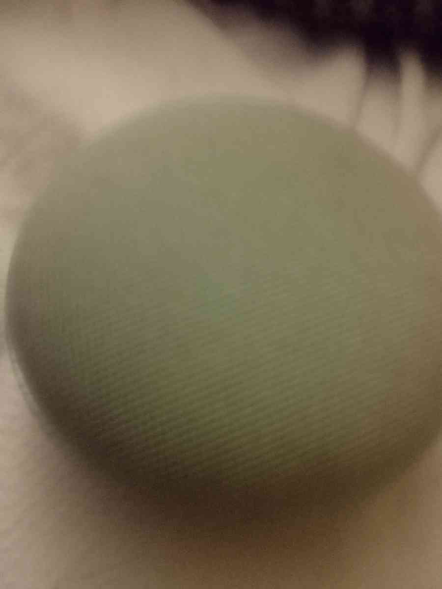 a Google nest Bluetooth speaker - Tazewell, Virginia - FleaMarketBay