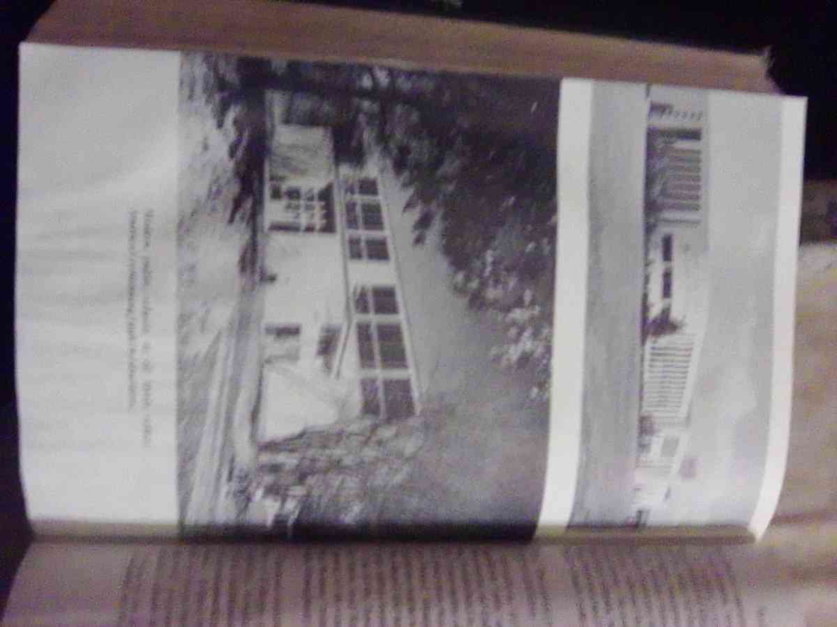 The School in the American Social Order - Louisiana, Missouri - FleaMarketBay