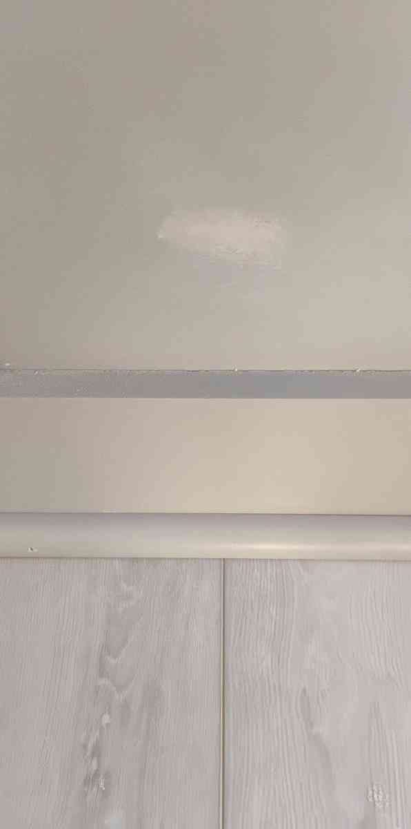 Residential and Commercial cleaning