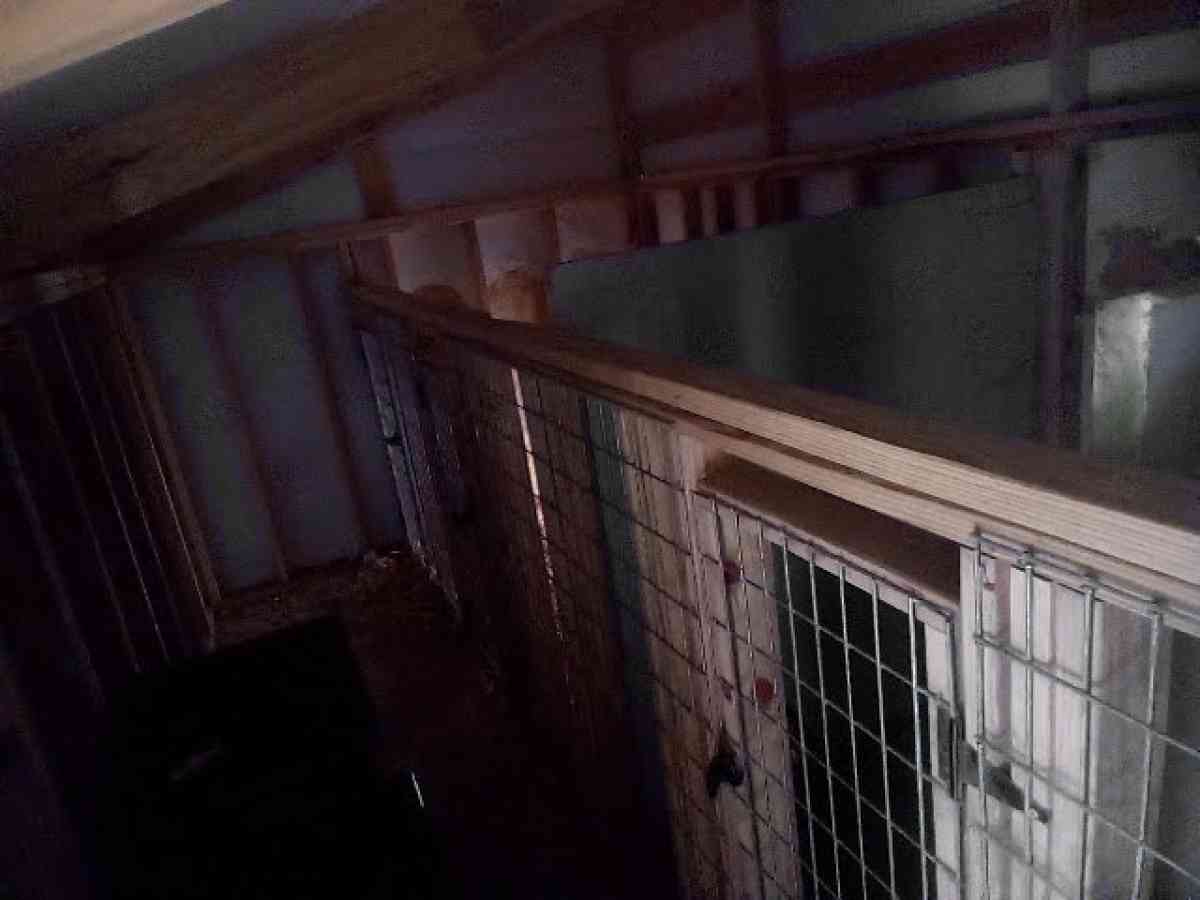 4Bay Dog kennel for breading o