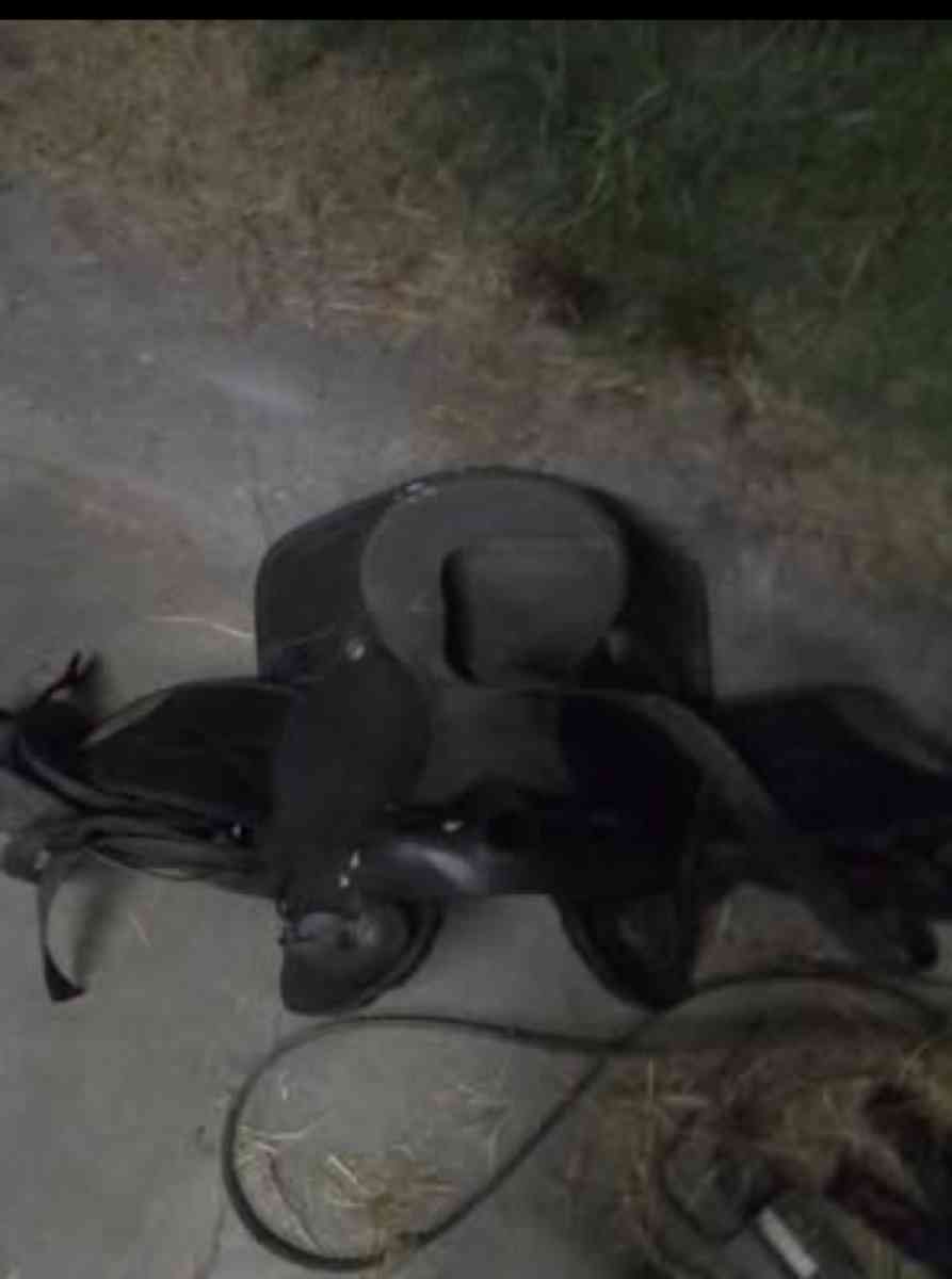horse saddle