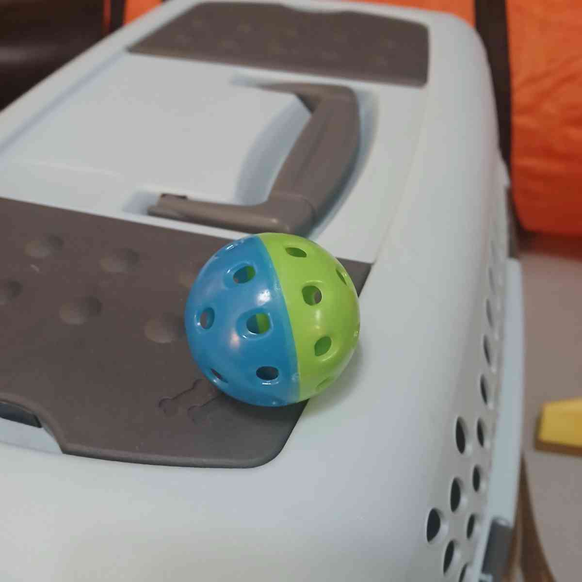 Aspenpet Pet Taxi Kennel with accessories