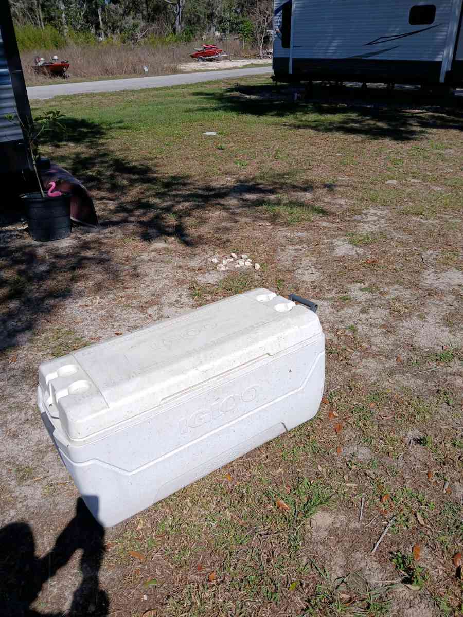 cooler - Hernando, Florida - FleaMarketBay