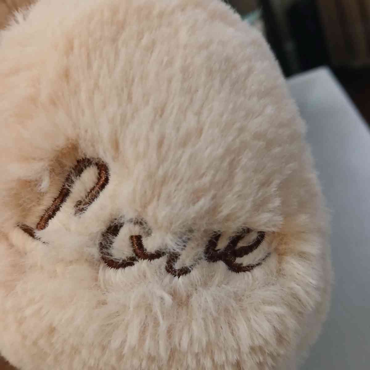 Sitting Teddy Bear with Love Sign 18x12