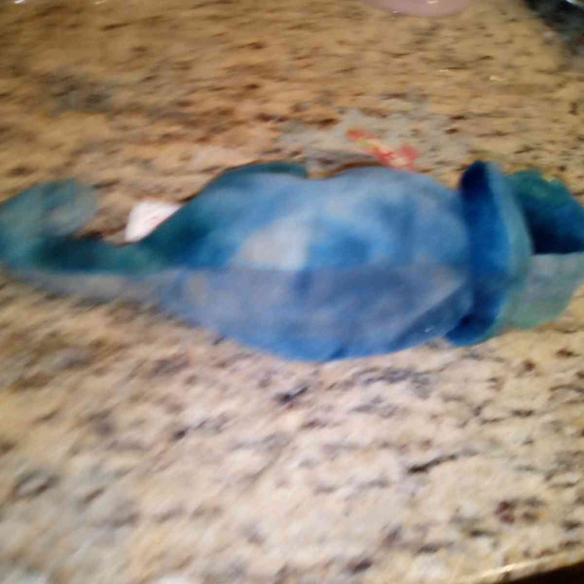 ty RAINBOW Beenie baby