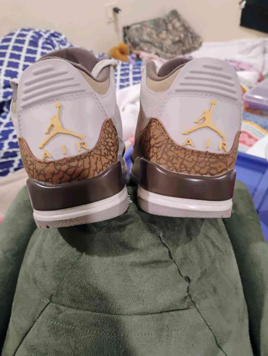 Jordan retro 3 palomino