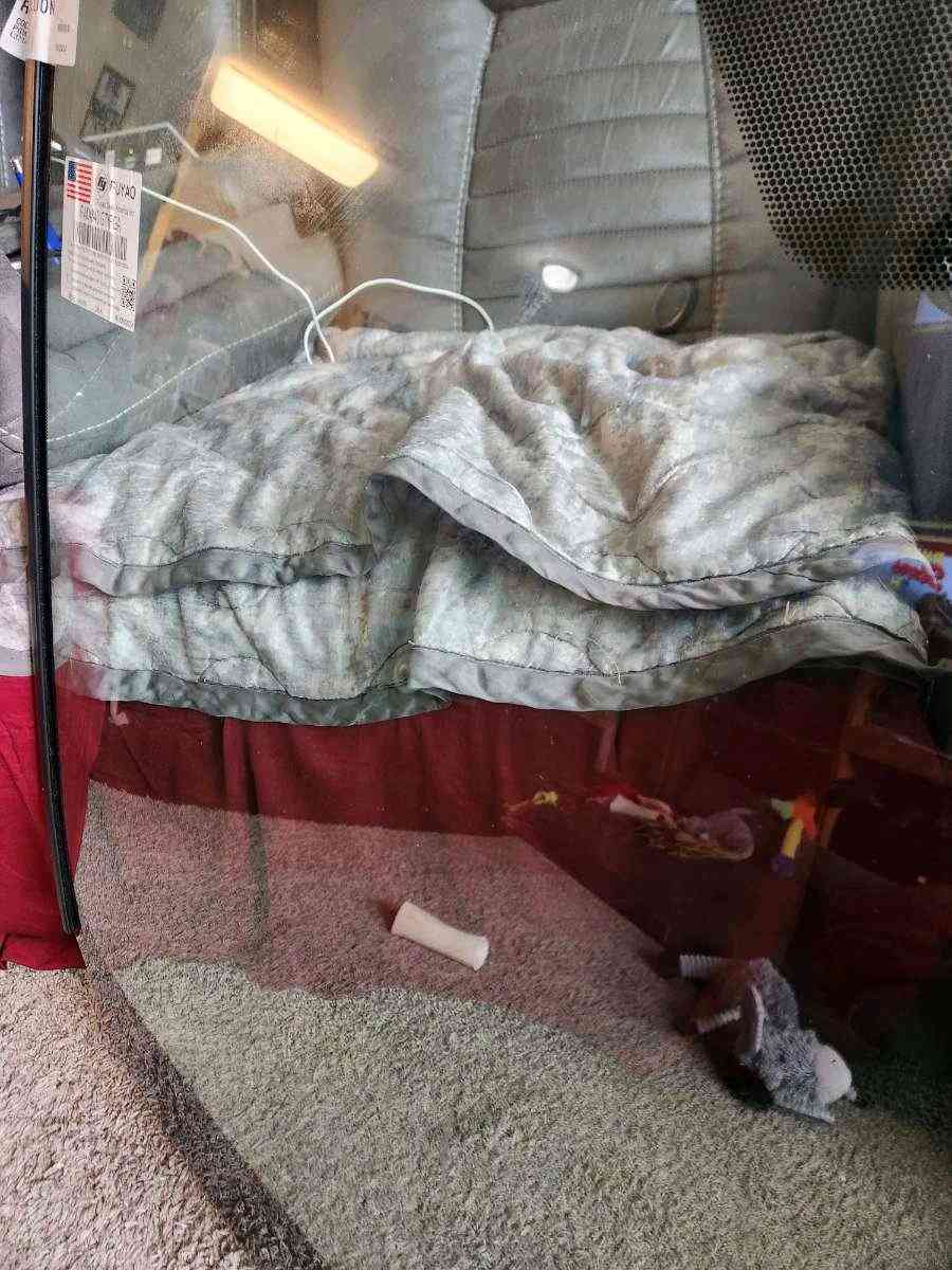 2017 Toyota Rav 4 Front Windshield