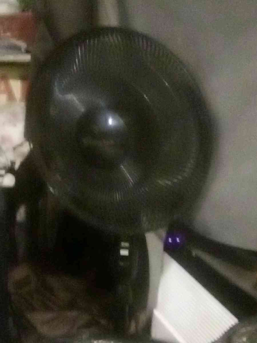 two Fans