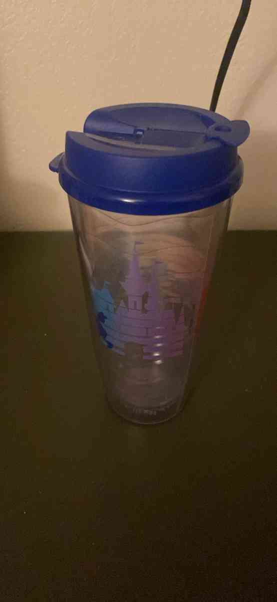 Disney pride tumbler - San Jose, California - FleaMarketBay