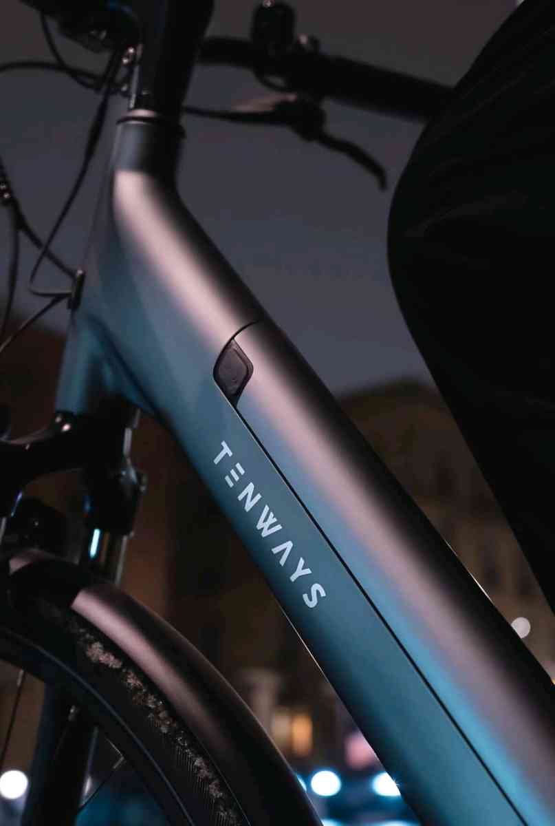 TENWAYS  CGO800S ELECTRIC BIKE