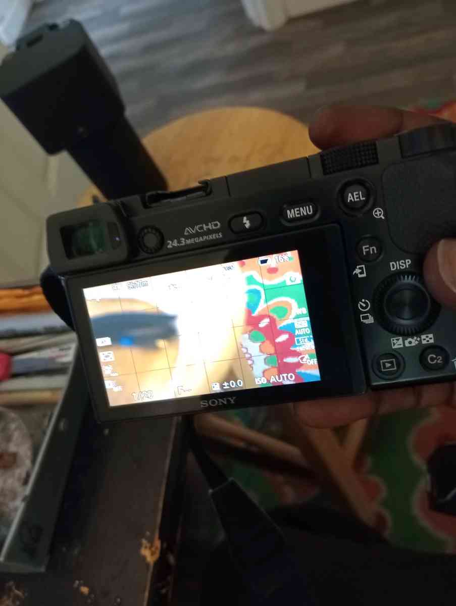 Sony Alpha a6000 Body  Lens