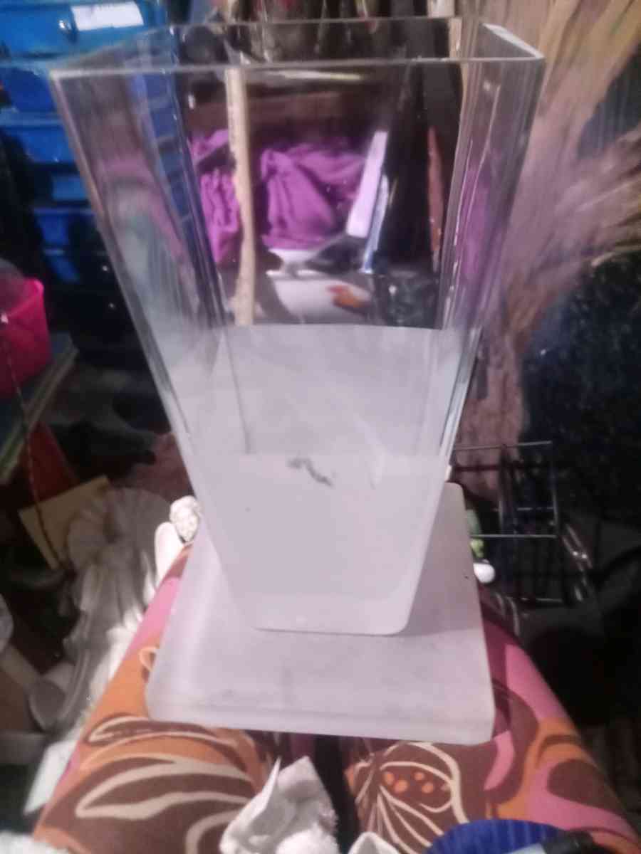 and take vice 11 in tall