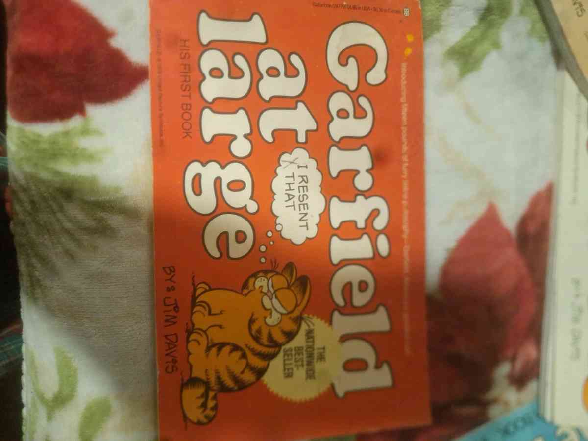 1978 to 1980 Garfield comics
