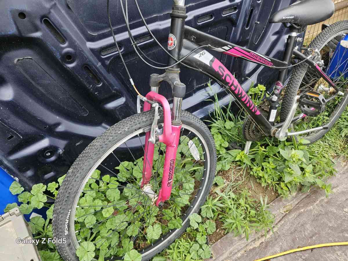 Ladies 26 schwinn bike