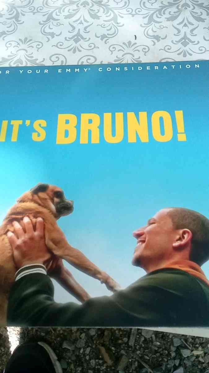 directors cut movie collections