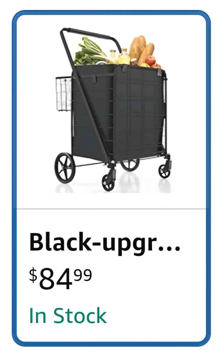 Shopping Cart - Saint Petersburg, Florida - FleaMarketBay