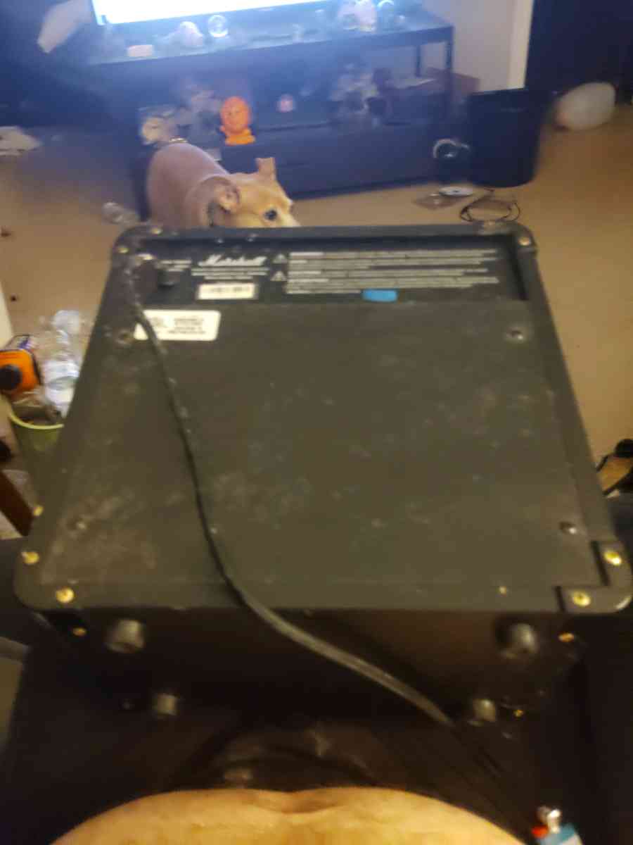 Electric guitar and amp - Abington, Pennsylvania - FleaMarketBay