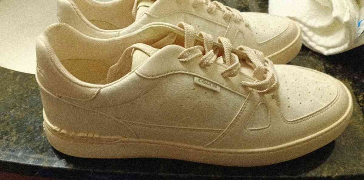 Coach shoes