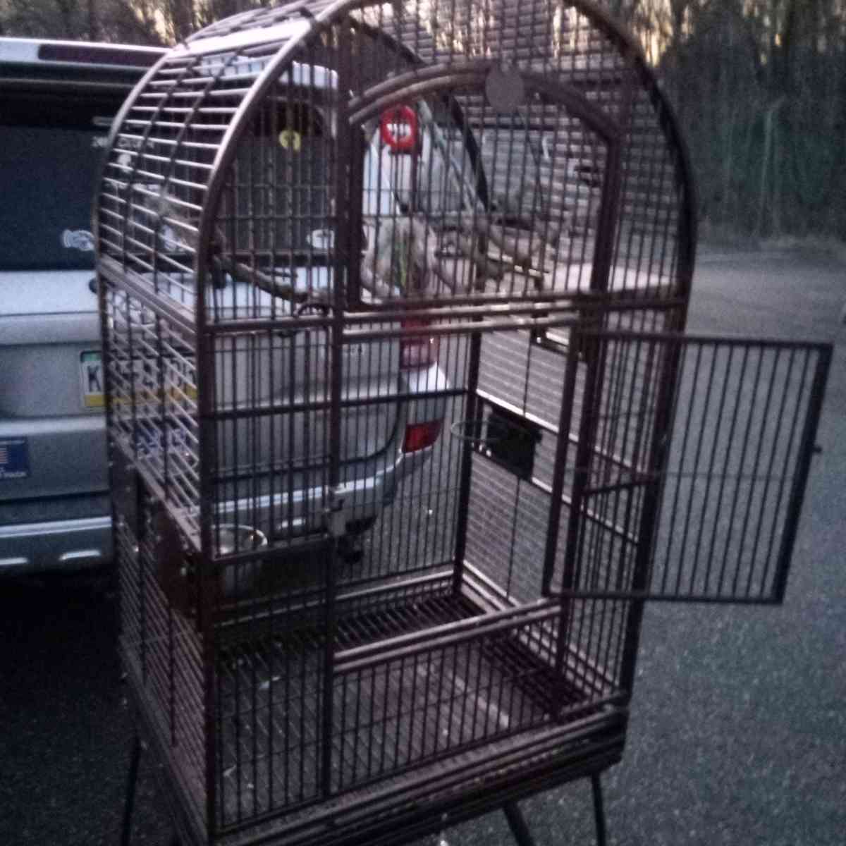 bird cage