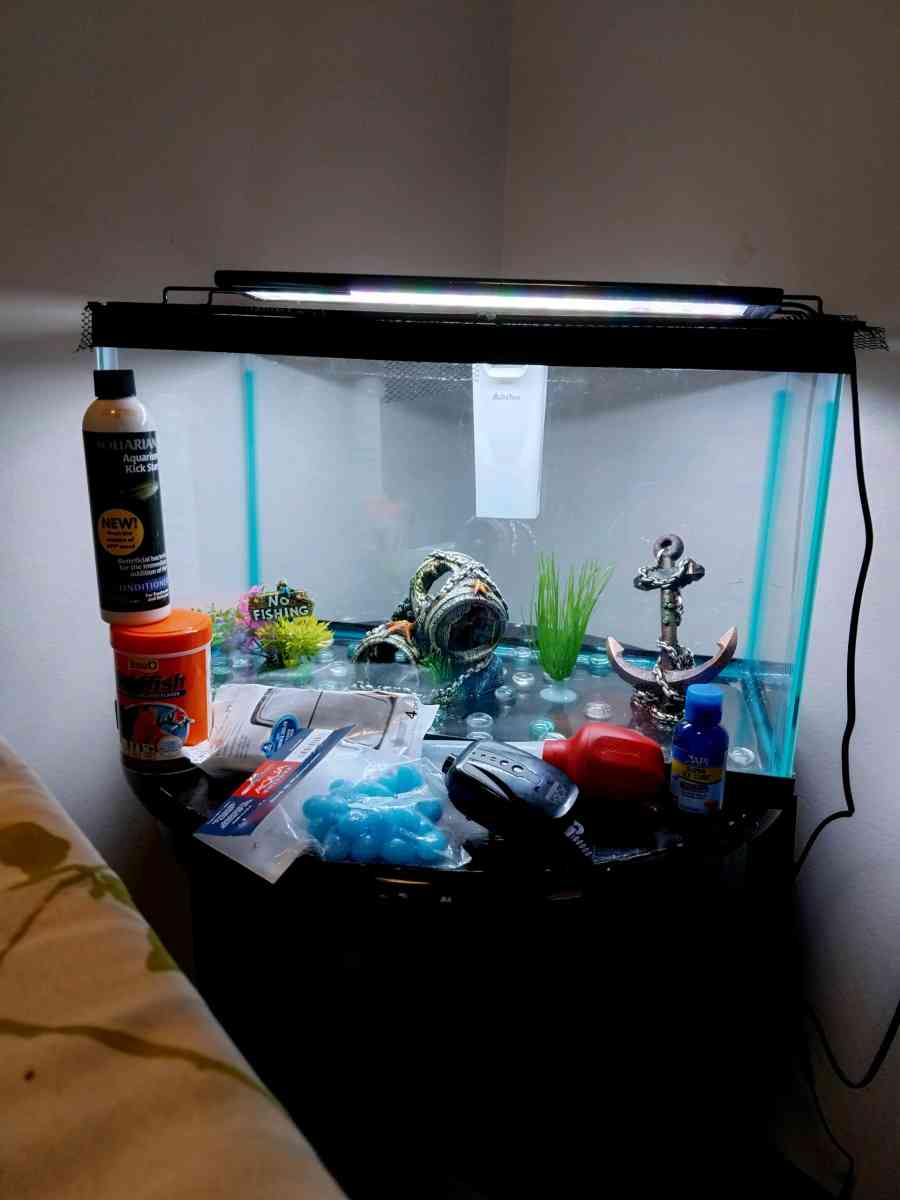 10 gallon fish tank and a goldfish kit with everything