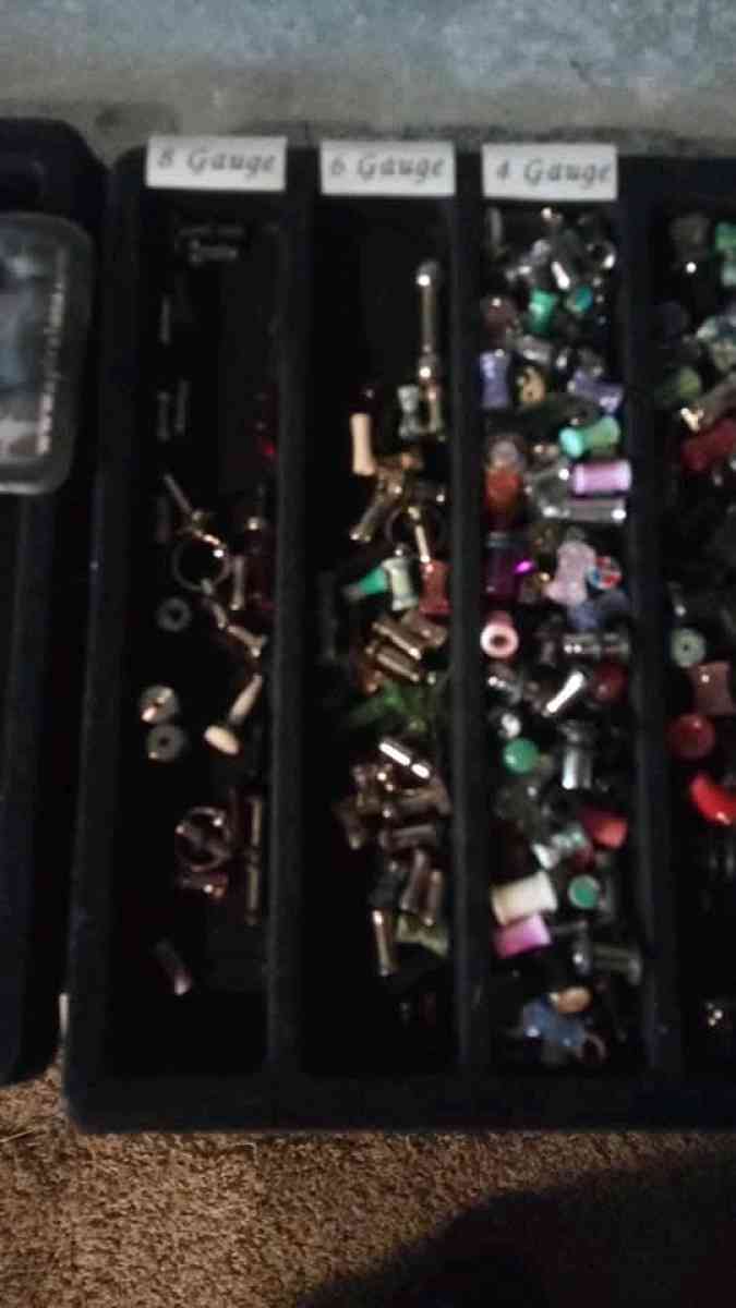 ear gauges from start to 1