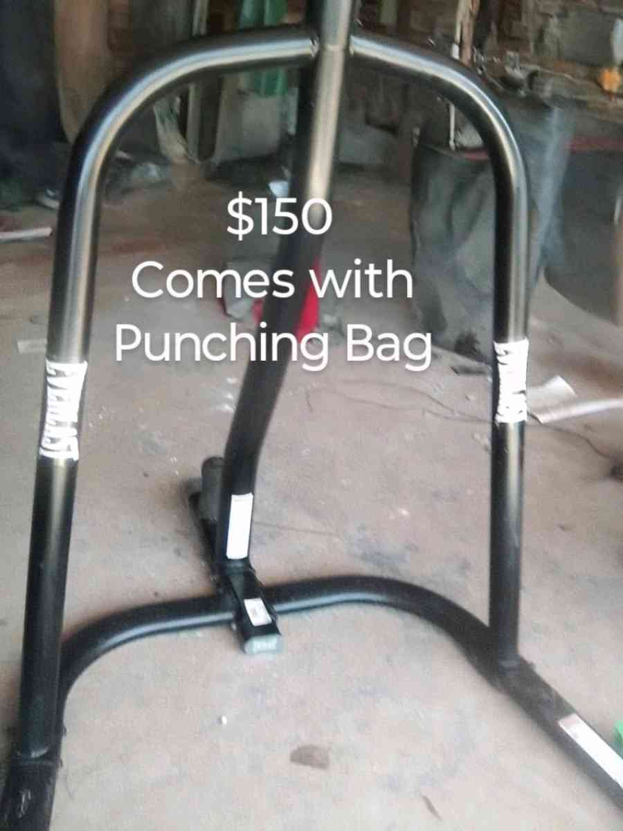 Everlast Punching Bag Equipment