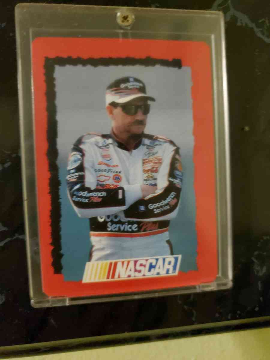 Dale Earnhardt Dale Jr