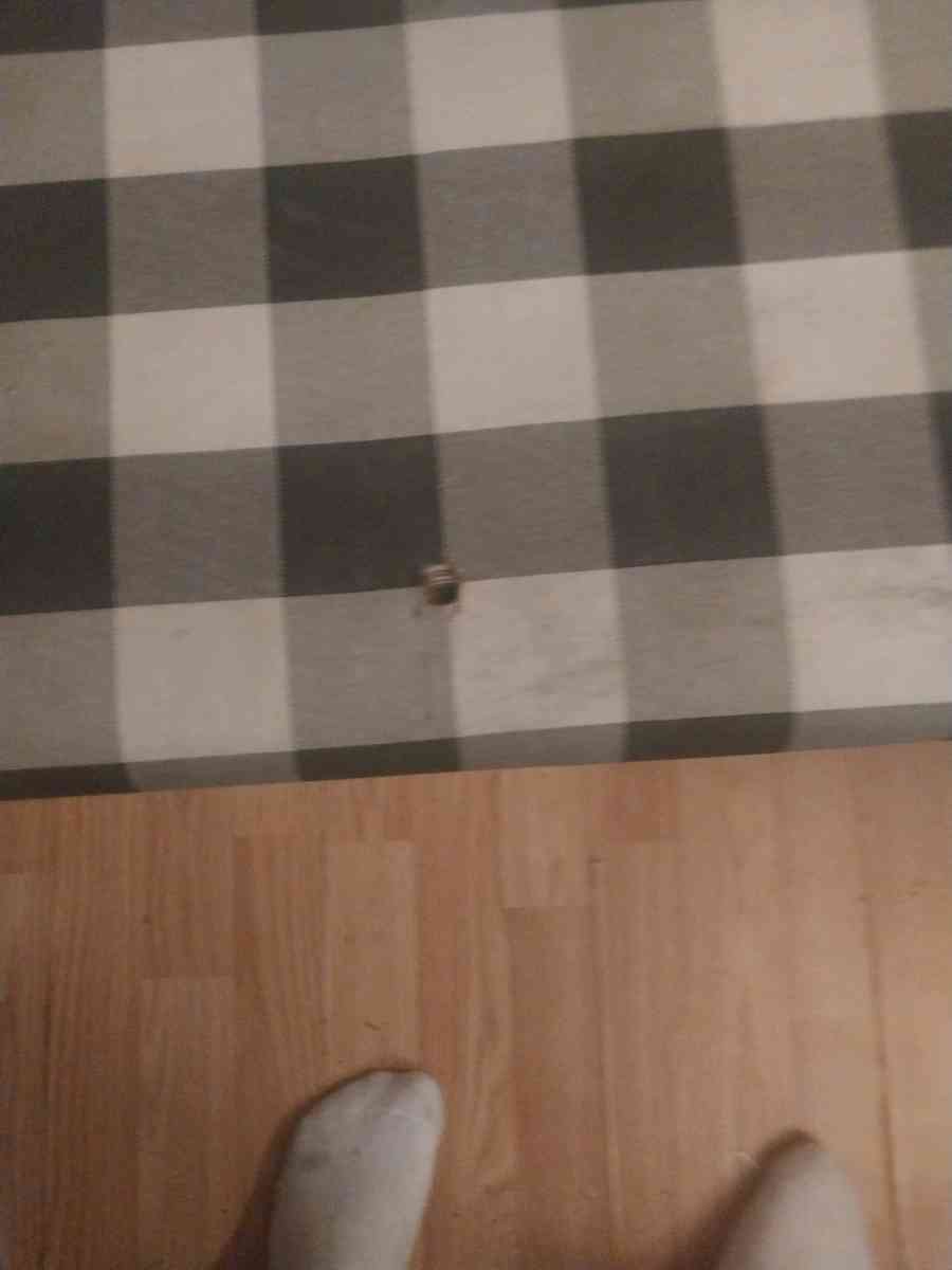 White Entryway Bench