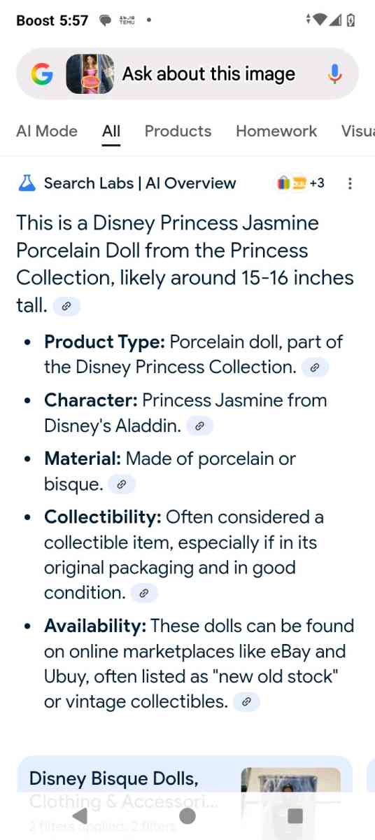 princess Jasmine porcelain doll - Akron, Ohio - FleaMarketBay