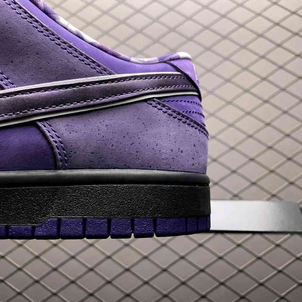 Concepts X NK SB Dunk Purple Lobster