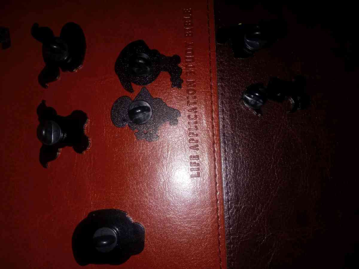 collectible cartoon pins for heads or clothing